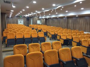 STAR - SİNEMA VE KONFERANS  ve  VIP STADYUM KOLTUĞU - AÇIK KOLLU